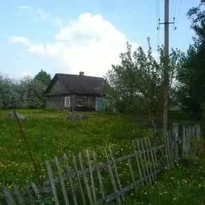 Продается деревянный дом в деревне Заберезь